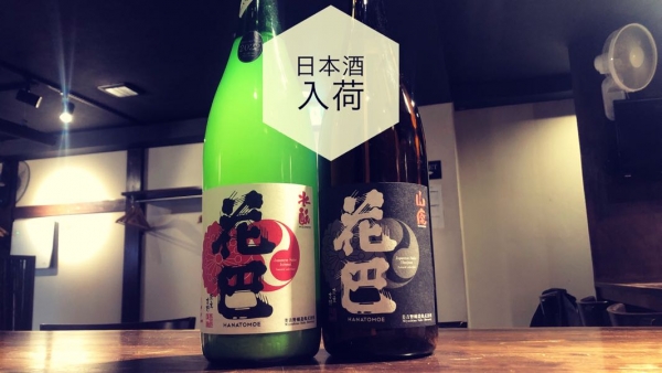 日本酒入荷2023.4.5
